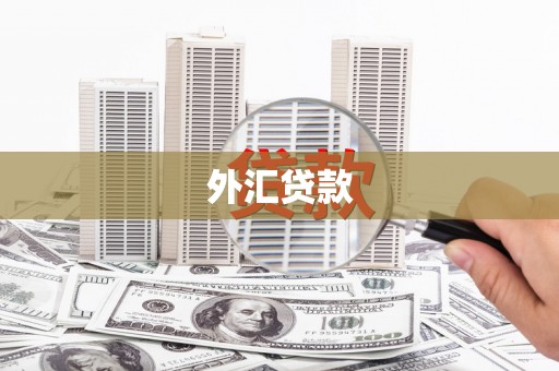 黄梅外汇贷款