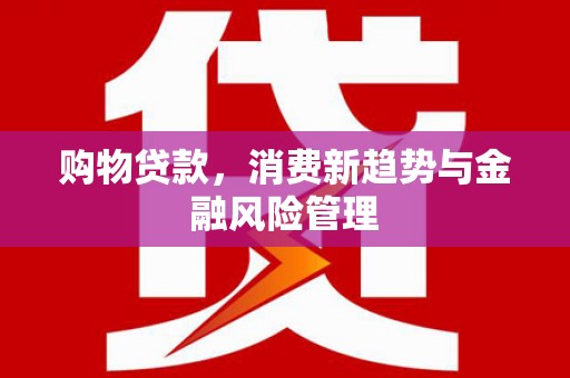 海盐购物贷款，消费新趋势与金融风险管理