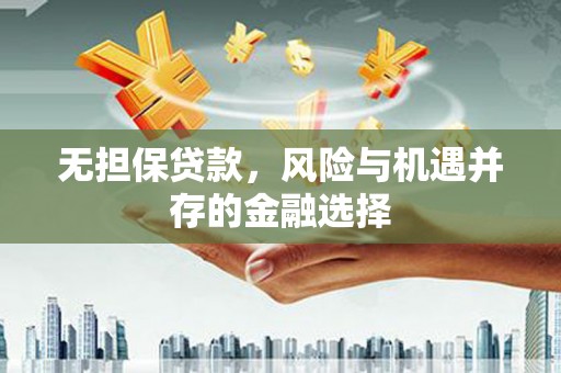 中方无担保贷款，风险与机遇并存的金融选择