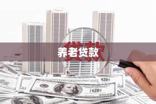 全椒养老贷款