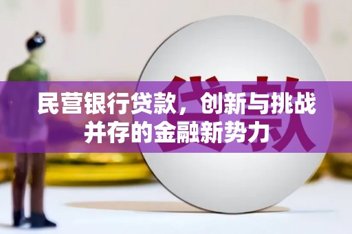 宝兴民营银行贷款，创新与挑战并存的金融新势力