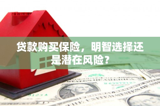 镇平贷款购买保险，明智选择还是潜在风险？