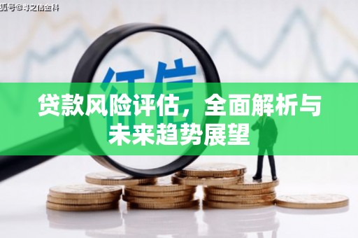 杂多贷款风险评估，全面解析与未来趋势展望
