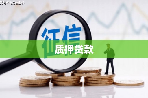 信州质押贷款