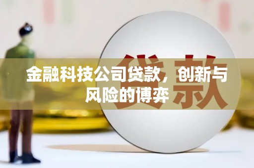 息县金融科技公司贷款，创新与风险的博弈