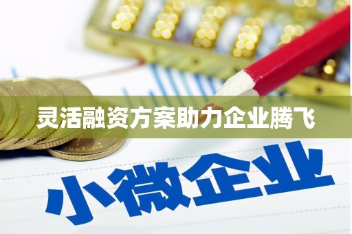 勐海灵活融资方案助力企业腾飞