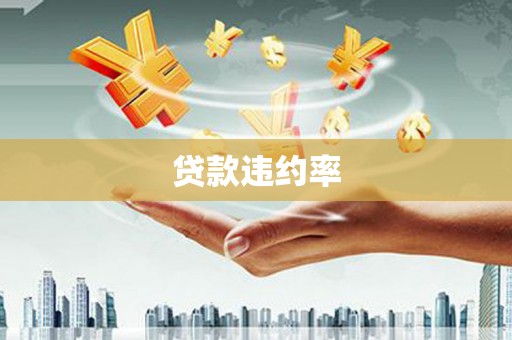 隆回贷款违约率