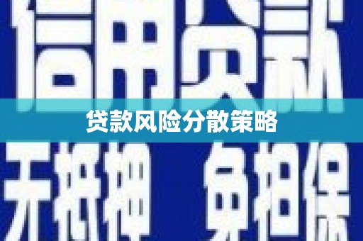 六甲贷款风险分散策略