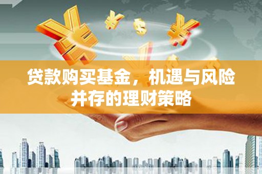 肥乡贷款购买基金，机遇与风险并存的理财策略