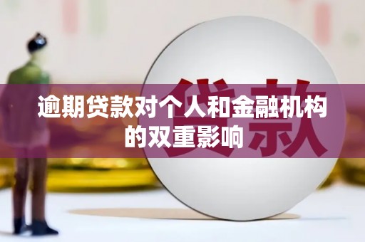 屏南逾期贷款对个人和金融机构的双重影响
