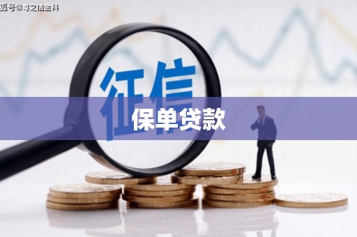 潭子保单贷款