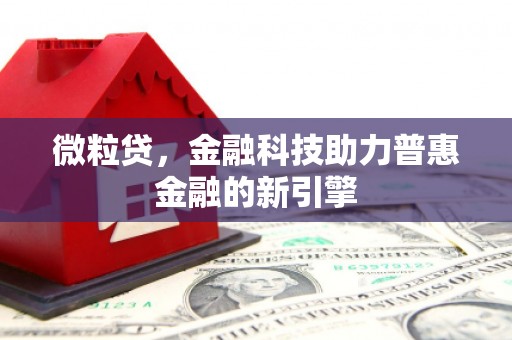 麦寮微粒贷，金融科技助力普惠金融的新引擎