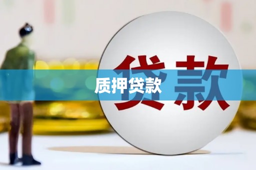 柳河质押贷款