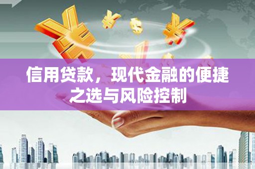凉山信用贷款，现代金融的便捷之选与风险控制