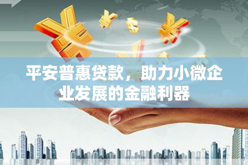 瑞芳平安普惠贷款，助力小微企业发展的金融利器
