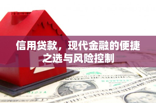 东丰信用贷款，现代金融的便捷之选与风险控制