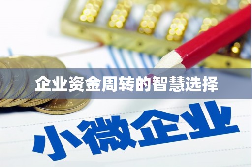 甘泉企业资金周转的智慧选择