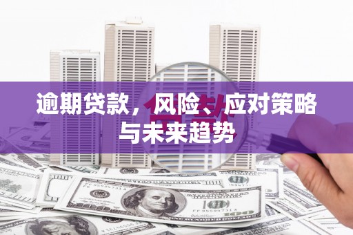 阿巴嘎旗逾期贷款，风险、应对策略与未来趋势
