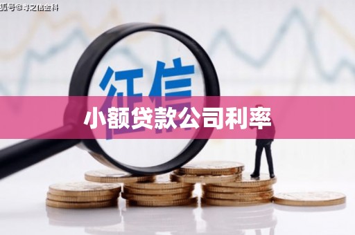 新界小额贷款公司利率