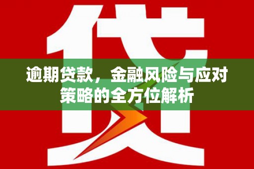 松溪逾期贷款，金融风险与应对策略的全方位解析