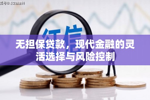 港南无担保贷款，现代金融的灵活选择与风险控制