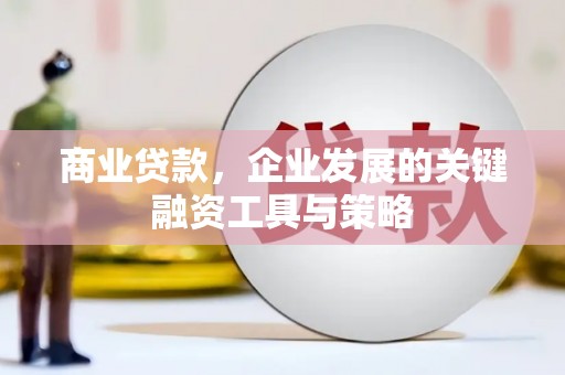 苑里商业贷款，企业发展的关键融资工具与策略