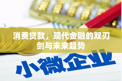 乐亭消费贷款，现代金融的双刃剑与未来趋势