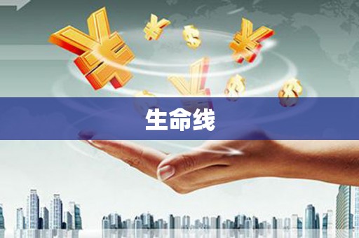 礼县生命线