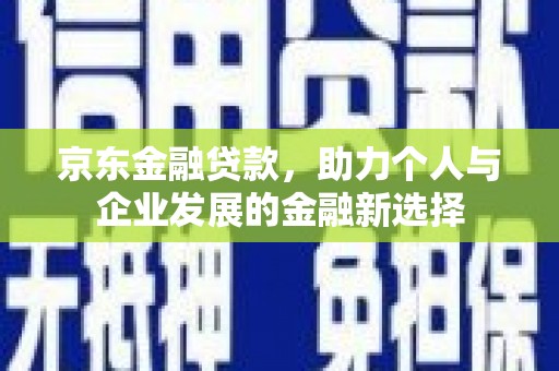 津南京东金融贷款，助力个人与企业发展的金融新选择