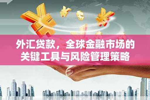 滑县外汇贷款，全球金融市场的关键工具与风险管理策略