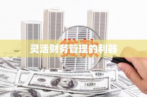 江东灵活财务管理的利器