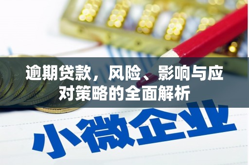 平舆逾期贷款，风险、影响与应对策略的全面解析