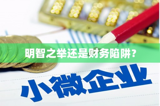 苍南明智之举还是财务陷阱？