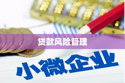 泗阳贷款风险管理