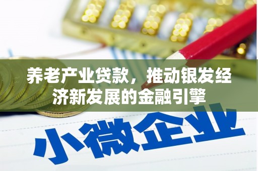 九龙养老产业贷款，推动银发经济新发展的金融引擎