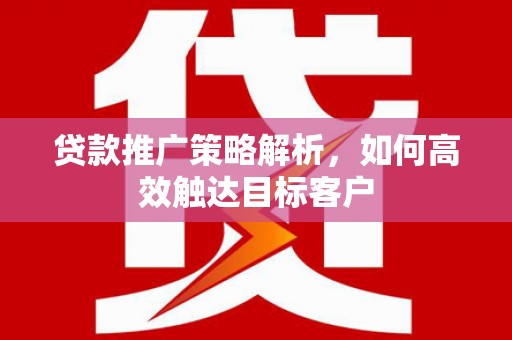 宝兴贷款推广策略解析，如何高效触达目标客户