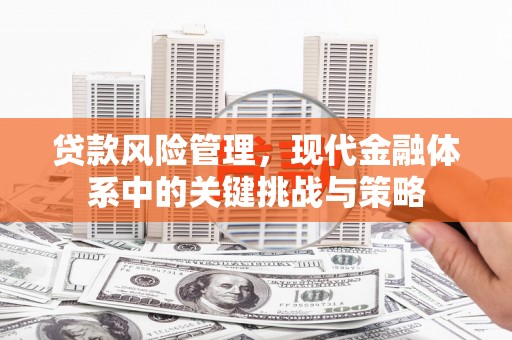 埔心贷款风险管理，现代金融体系中的关键挑战与策略