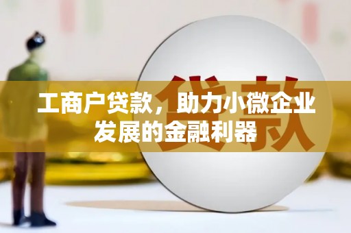 泰来工商户贷款，助力小微企业发展的金融利器