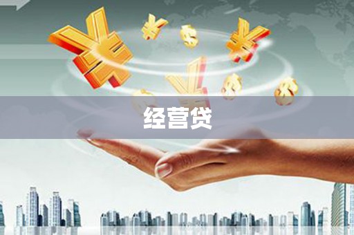 西畴经营贷