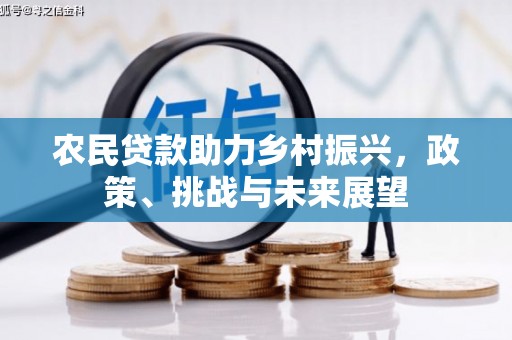 宁陵农民贷款助力乡村振兴，政策、挑战与未来展望