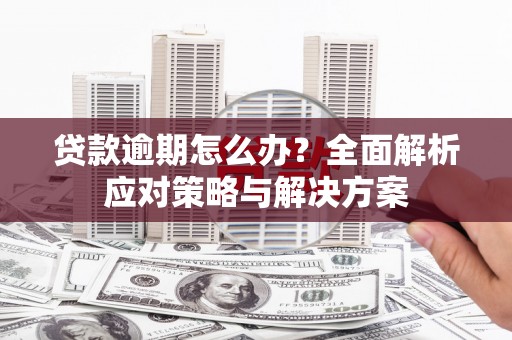 海安贷款逾期怎么办？全面解析应对策略与解决方案