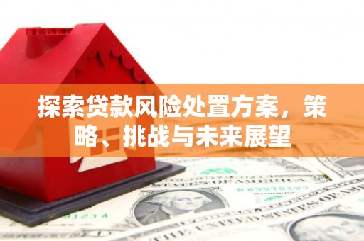 广灵探索贷款风险处置方案，策略、挑战与未来展望