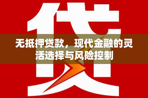 攀枝花无抵押贷款，现代金融的灵活选择与风险控制