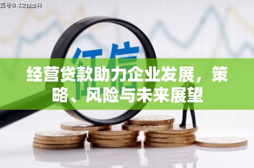 长寿经营贷款助力企业发展，策略、风险与未来展望