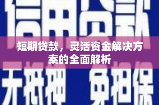 宝塔短期贷款，灵活资金解决方案的全面解析