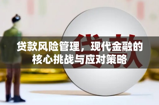 集美贷款风险管理，现代金融的核心挑战与应对策略