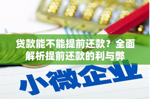 三元贷款能不能提前还款？全面解析提前还款的利与弊