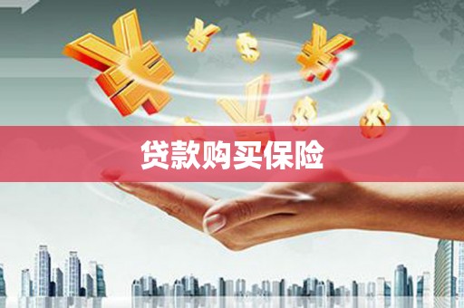 巴塘贷款购买保险