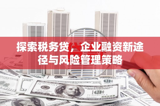 睢宁探索税务贷，企业融资新途径与风险管理策略