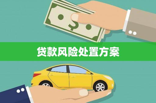 阿图什贷款风险处置方案